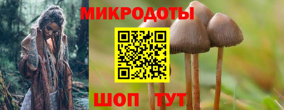 Уссурийск  Псилоцибиновые грибы мухоморы  как найти   Вход с VPN 