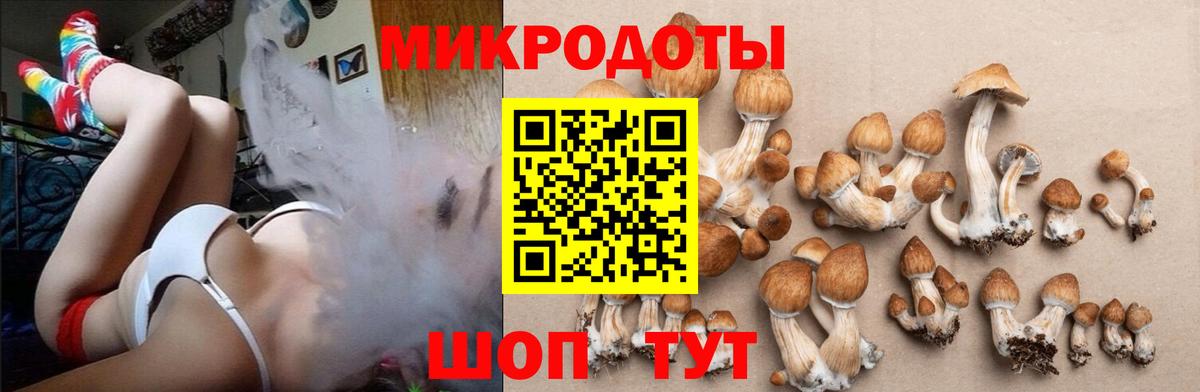 Галлюциногенные грибы GOLDEN TEACHER Уссурийск